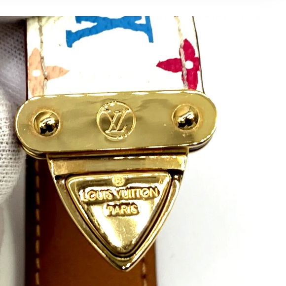 Louis Vuitton Multi Color Leather Goldtone Hardware - Picture 6 of 12